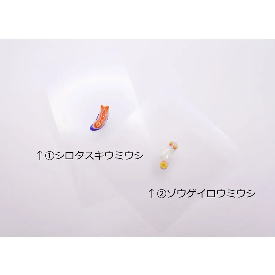 61e78dea423f6a677551f873