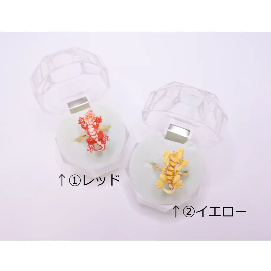 61b1868e9270a724e190f0ad