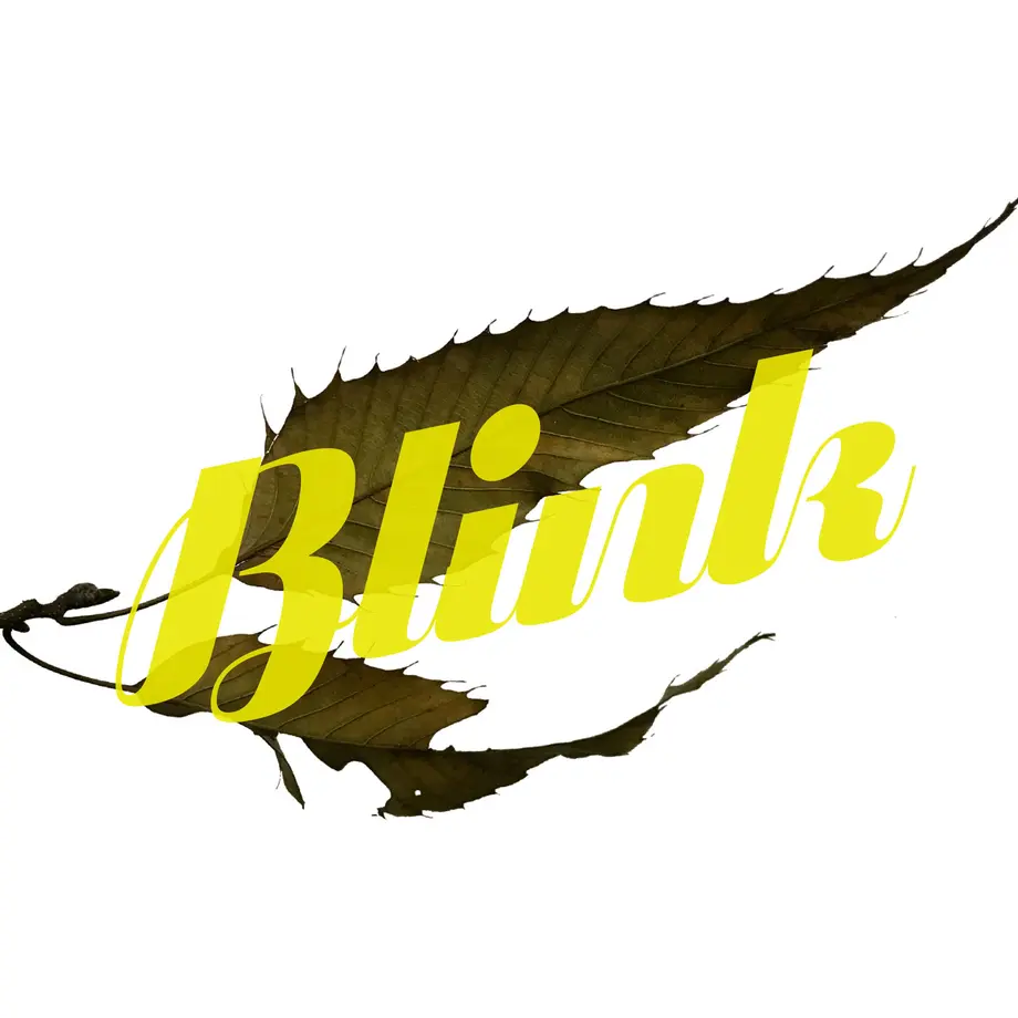5dfc3b8b1dac0b0e35bd6f9e