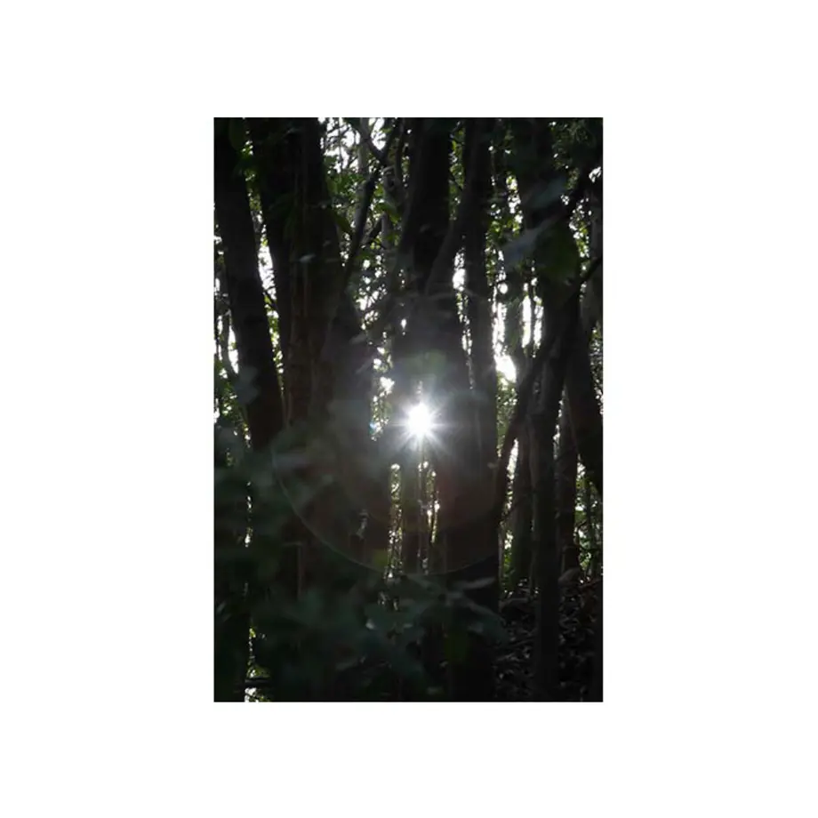 5ea1302251576243beaf904d
