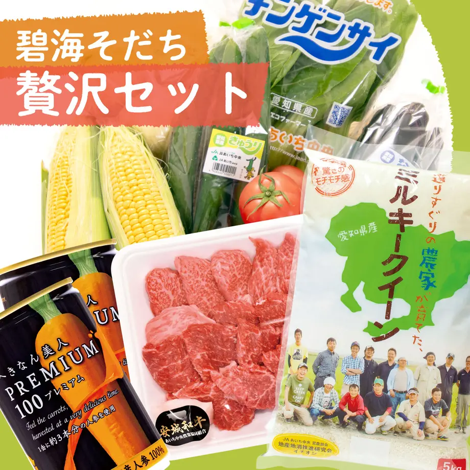 62401b1630344b524a2946e0