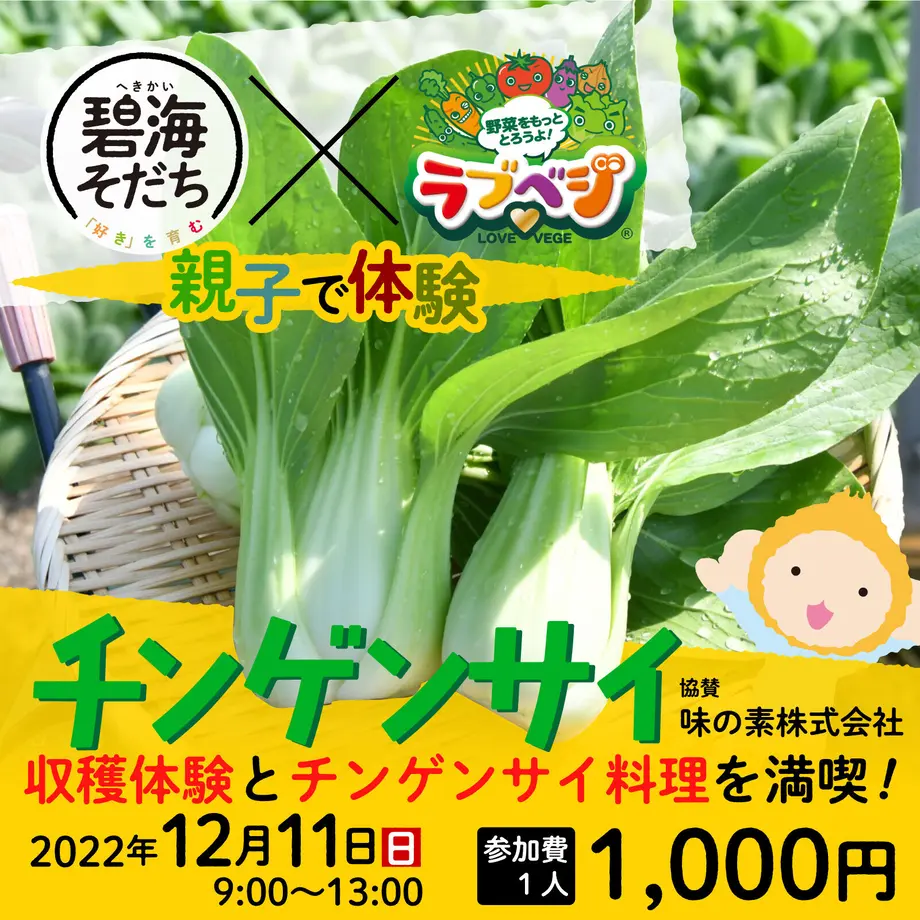 6382accbf519731550c1586b