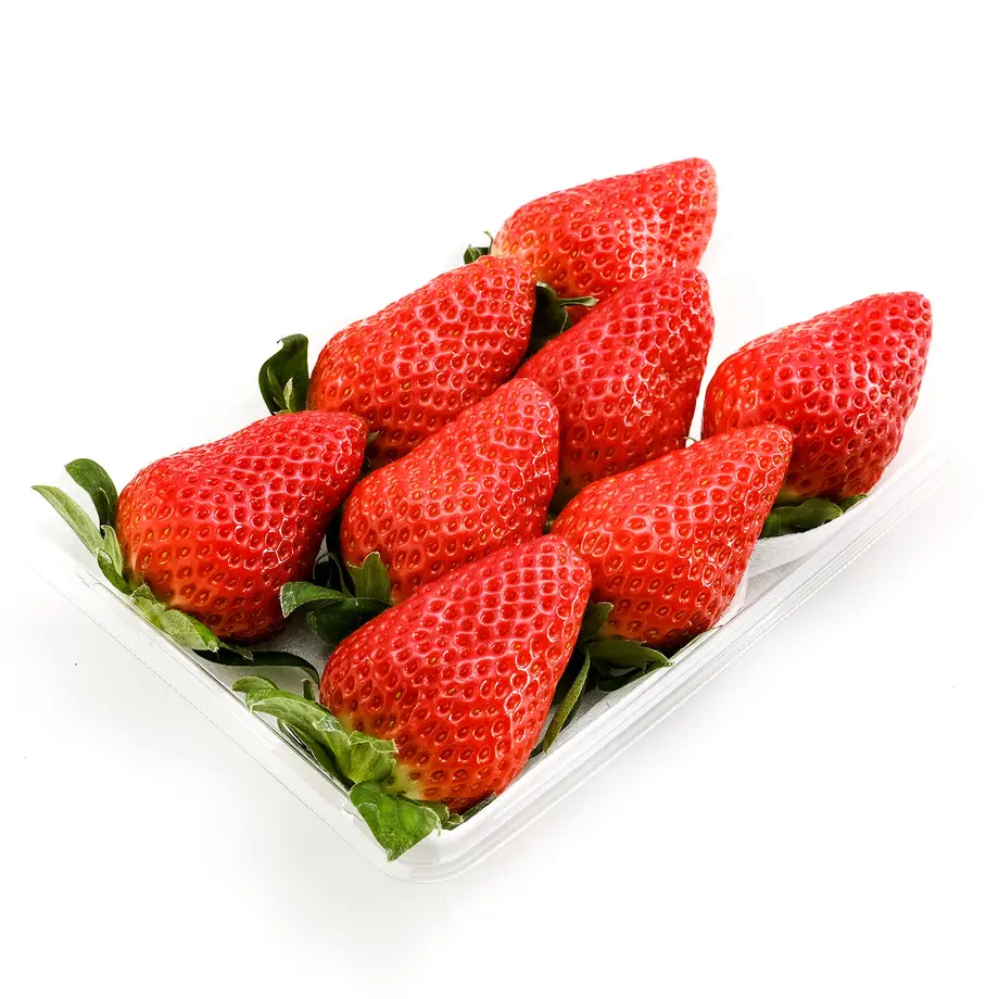 61e500d5113ce042486e3840