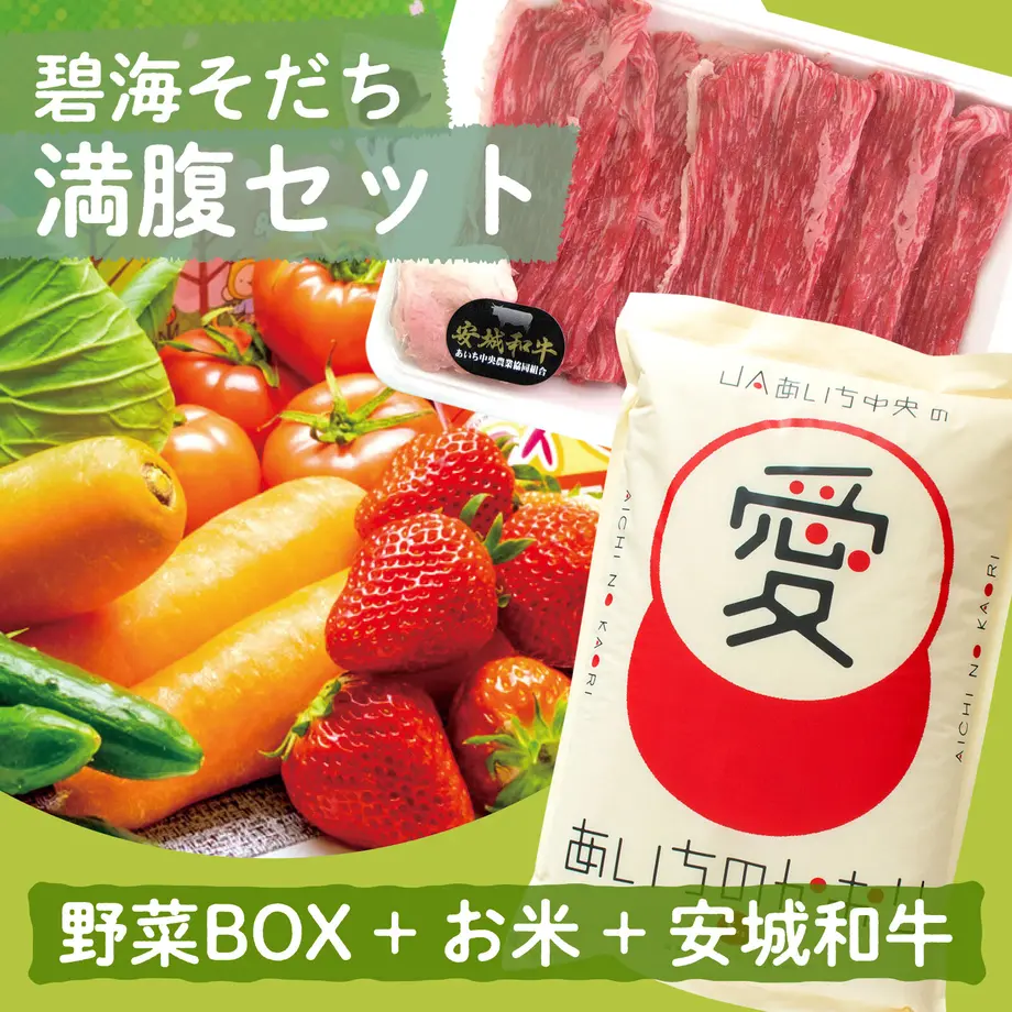 63777b09211ac3141fdbbf75