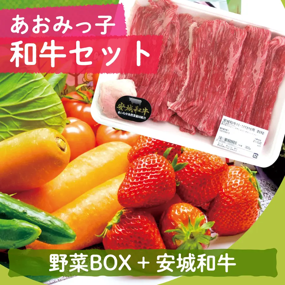 63777bdcf519737dfacf2582