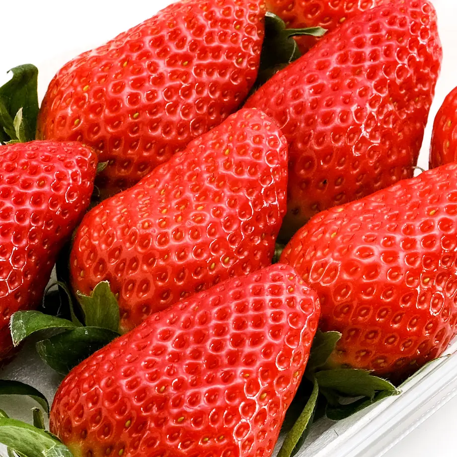 61e500d5113ce042486e3840
