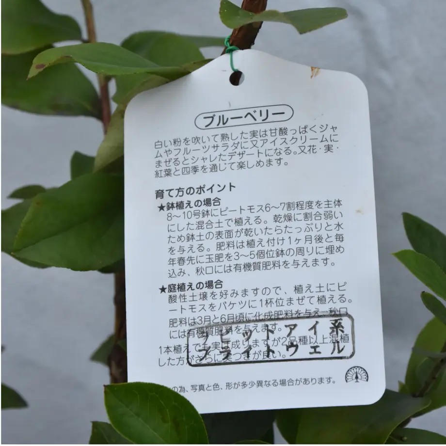 627f2c807d11614a7901597b