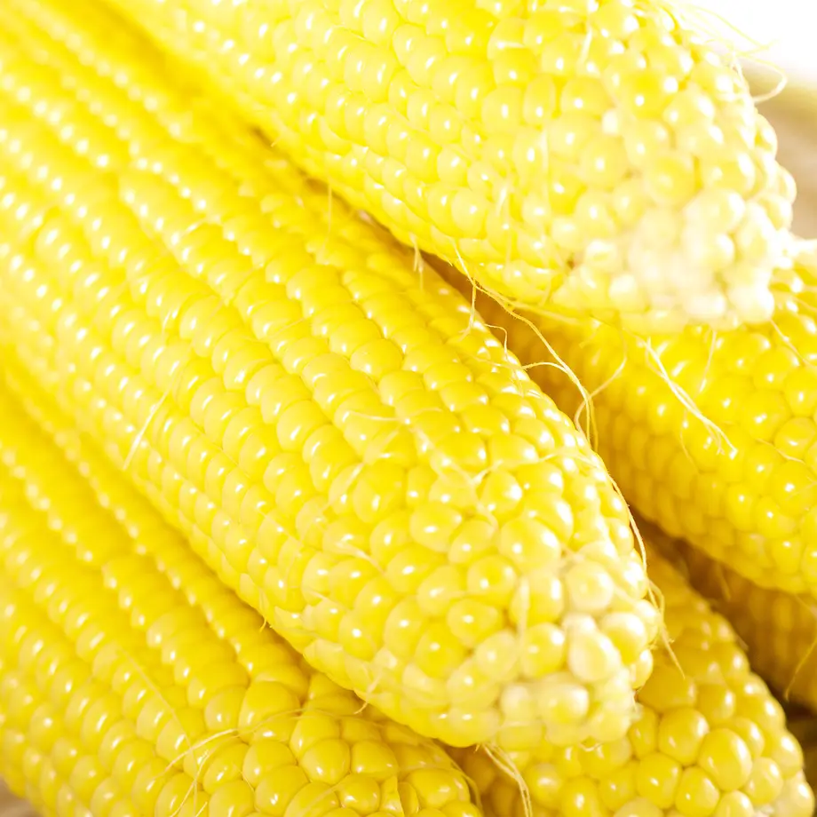 62401b1630344b524a2946e0