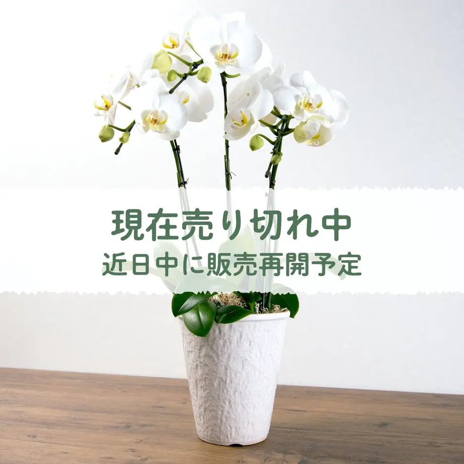 6074fc2ad5e9c960b1e9a621