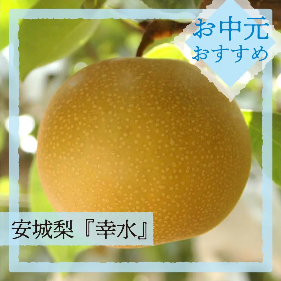 62df7624d8587433211c01cd