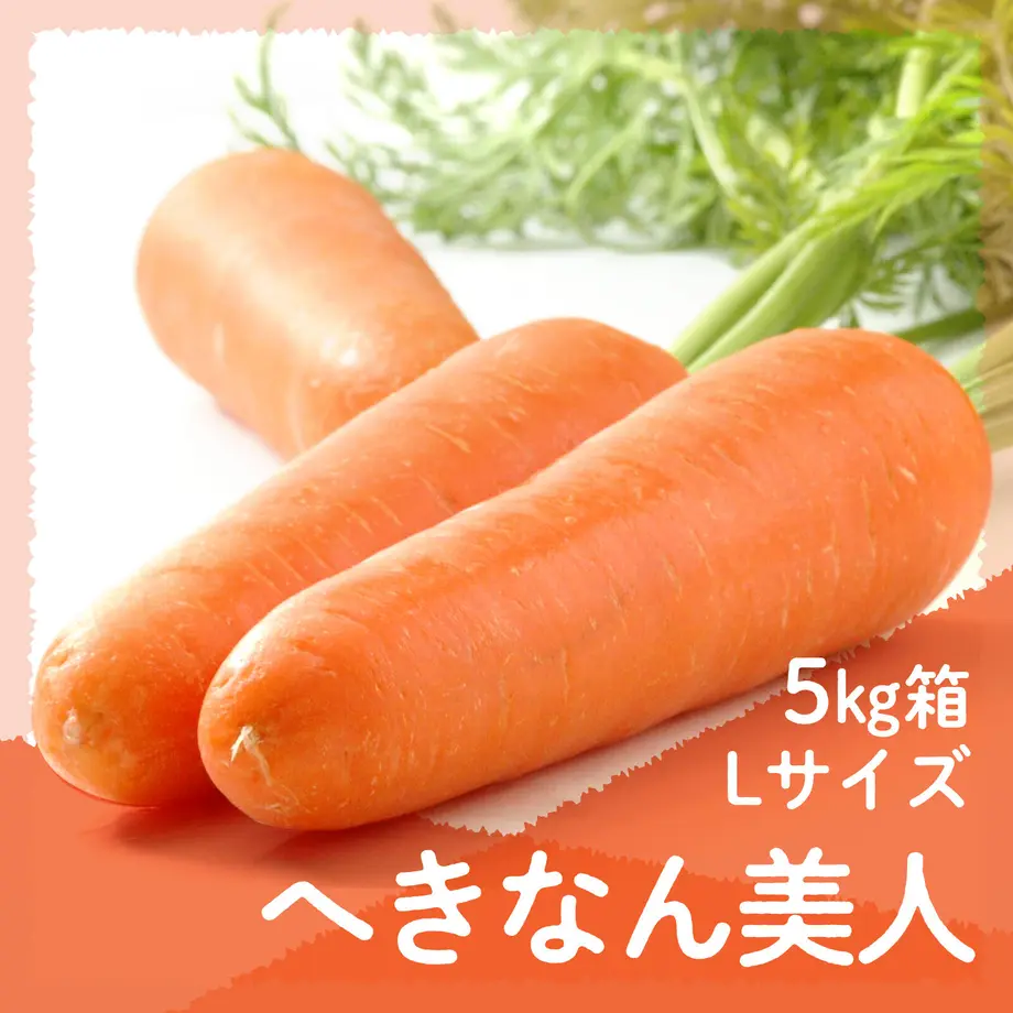 63bfdacfce1bd2497df15178