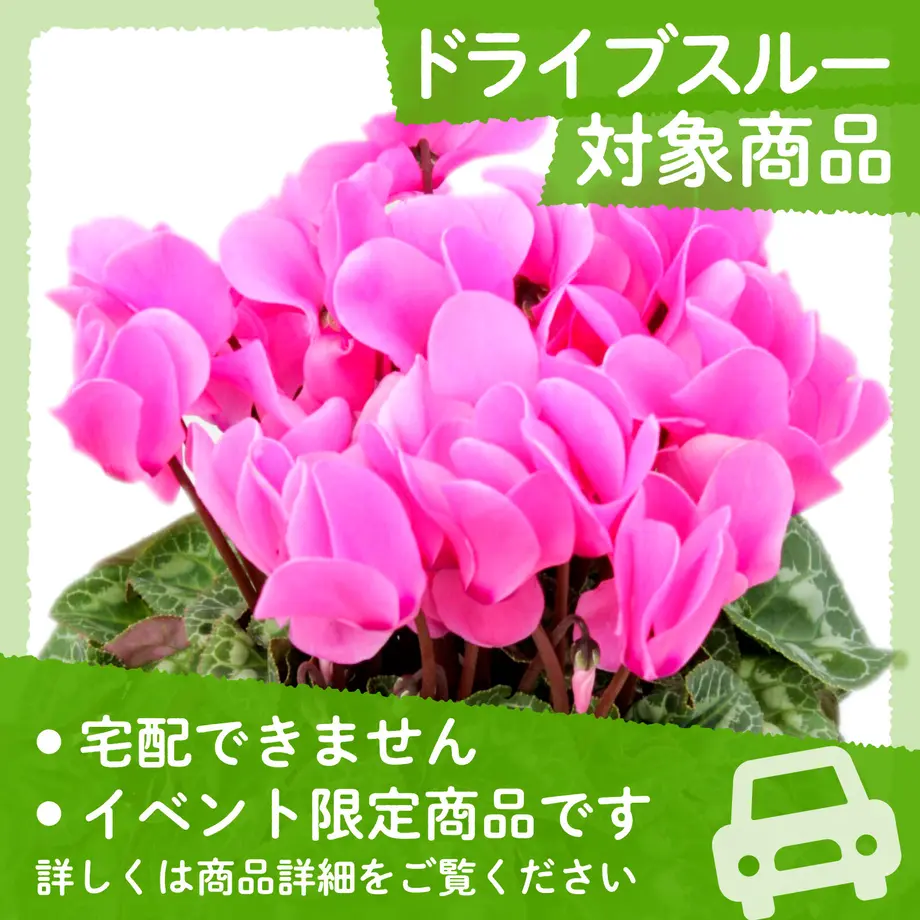 63777253bd5e4d4027a64100