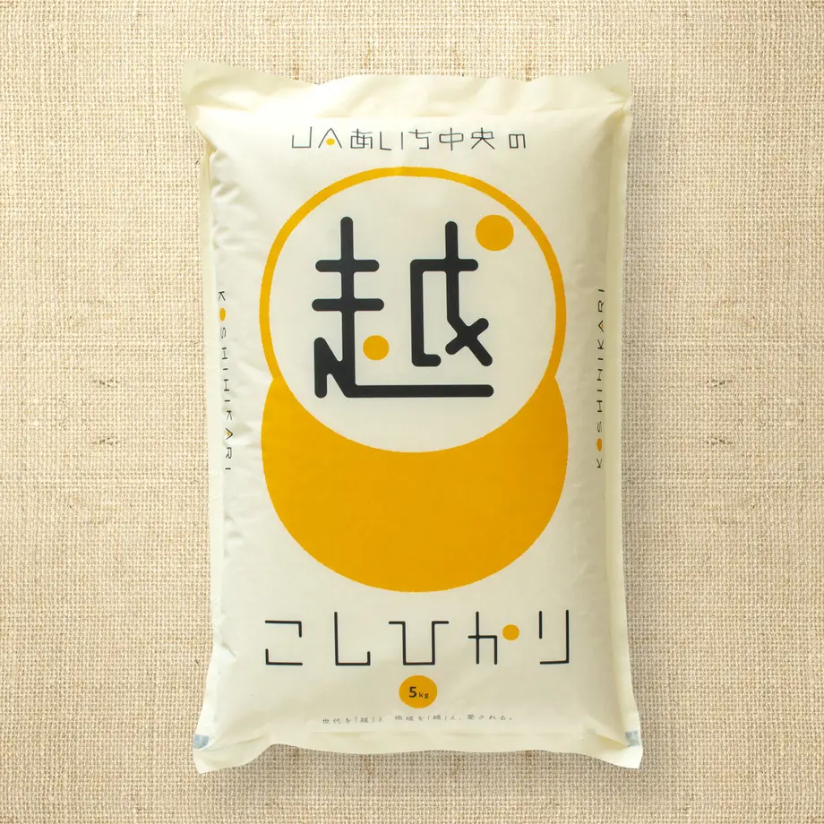 6062f48ea87fc55bc62b311f