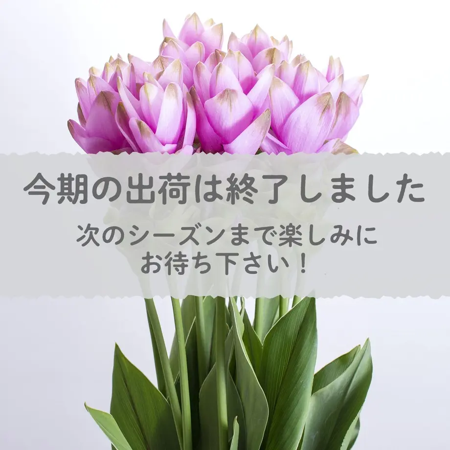 62bd03bf004607316c9ad30e