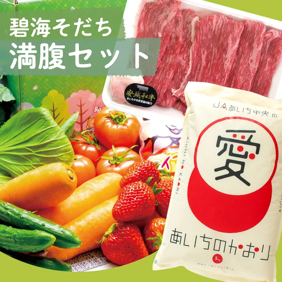 63777b09211ac3141fdbbf75