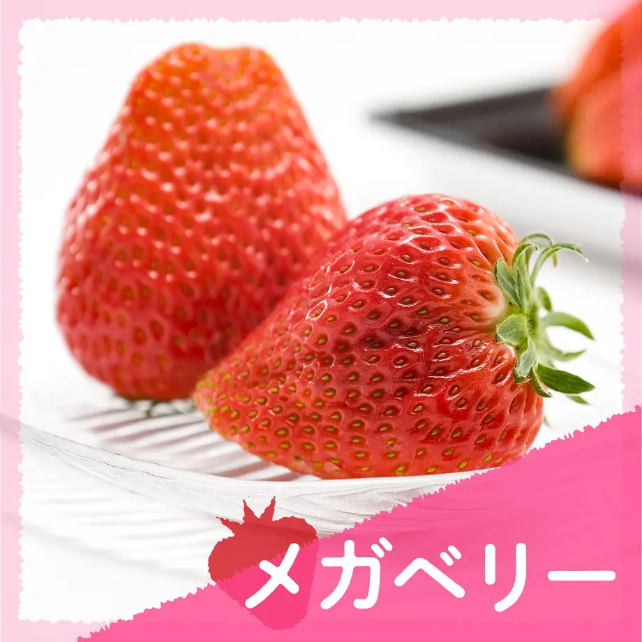 63ce641a4773a37fd4508a9e