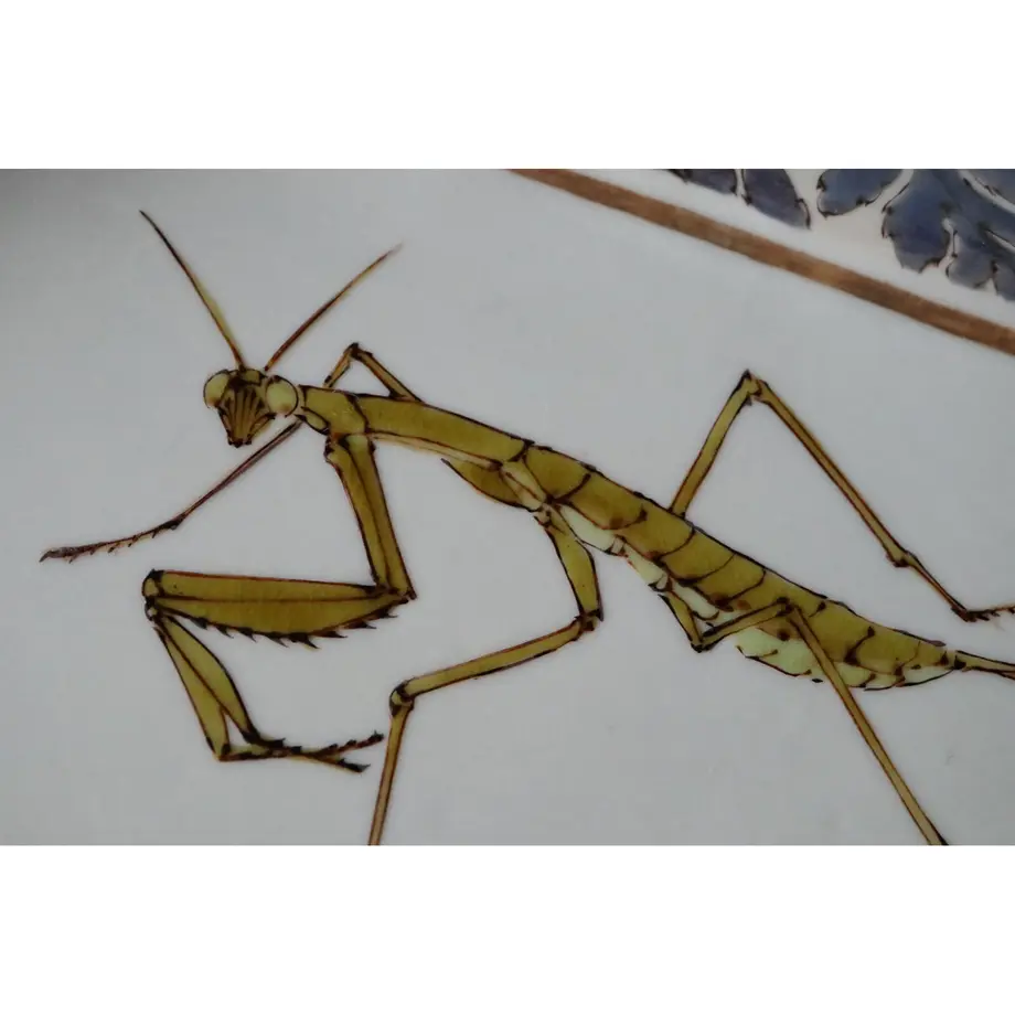 636ccf7a211ac3571ee99ce4