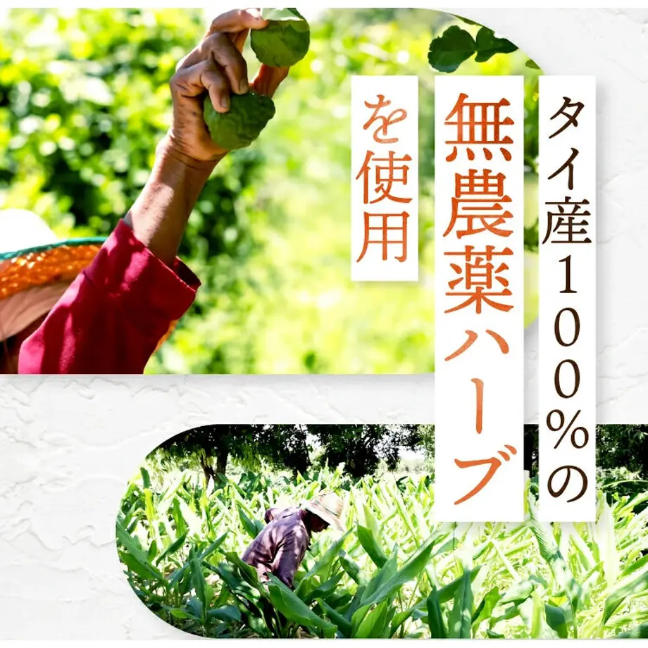 5dd97747a551d51e3e99ccab