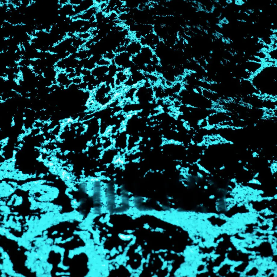 5c459e8b2a286265eeaa5171