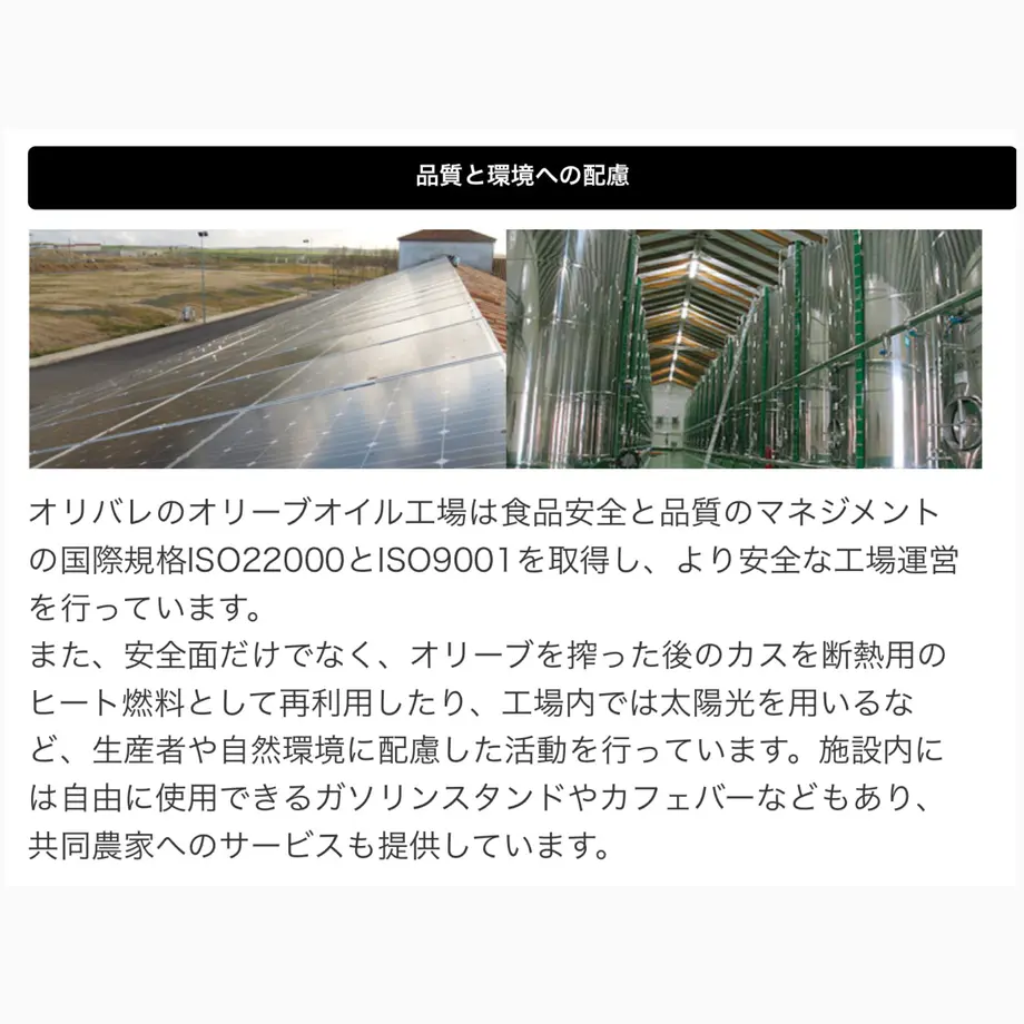 5f06ae4174b4e42013413b31