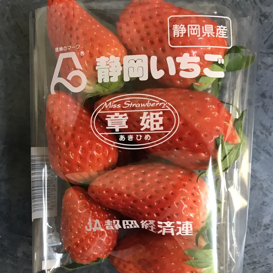 6269e1f0f4acdf5cd4e64d81