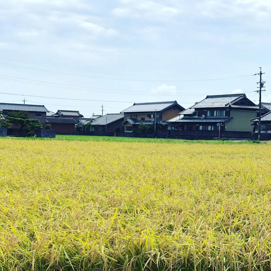 5f9744bd15ab3164a606686b