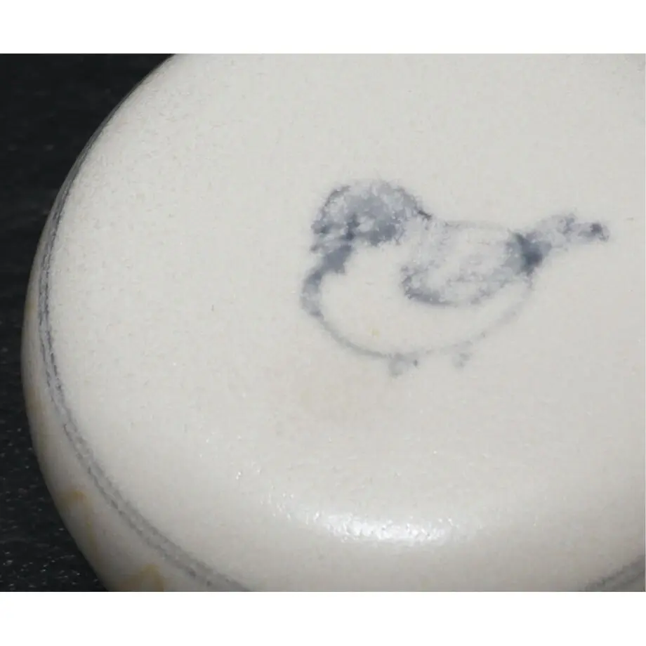 62fd91e85ff42334940044ec