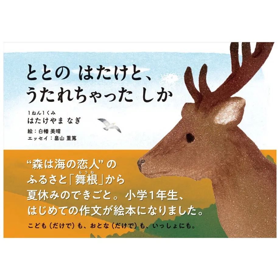 6264cb8eb34a560656592675