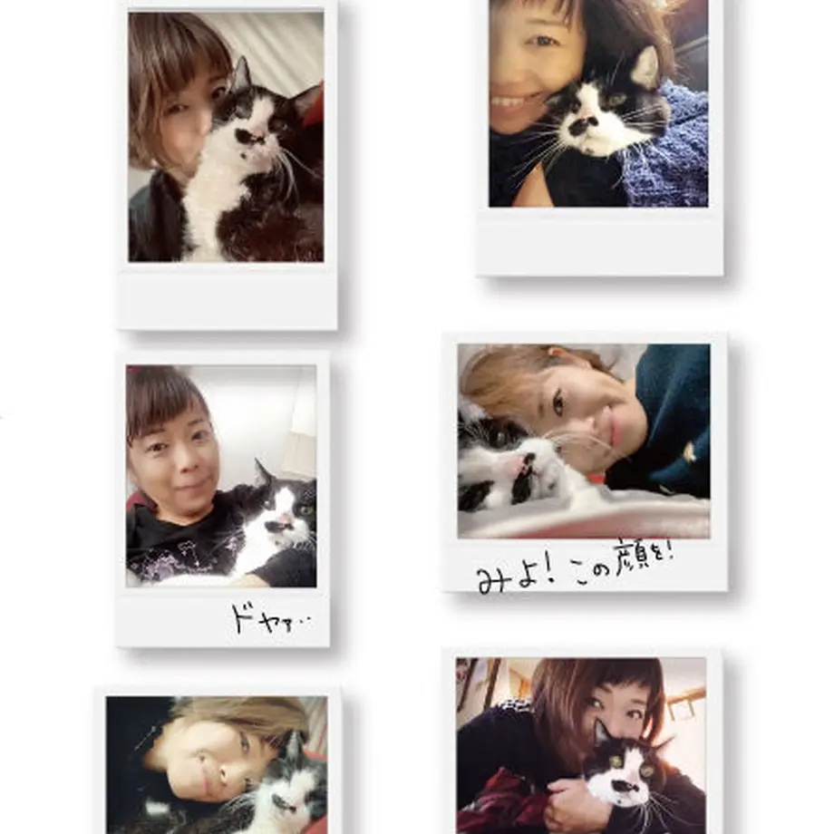 60d92b95b5285a746eeda52e