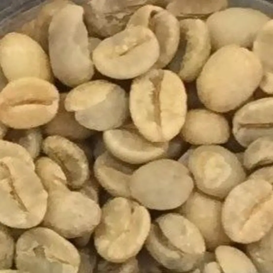 5b7667555f78662010003189