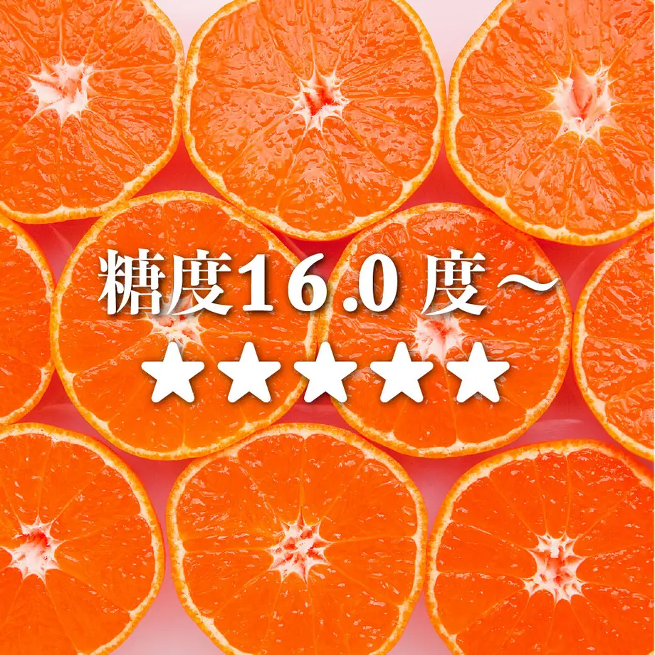 5ff46a67f0b108065a27d943