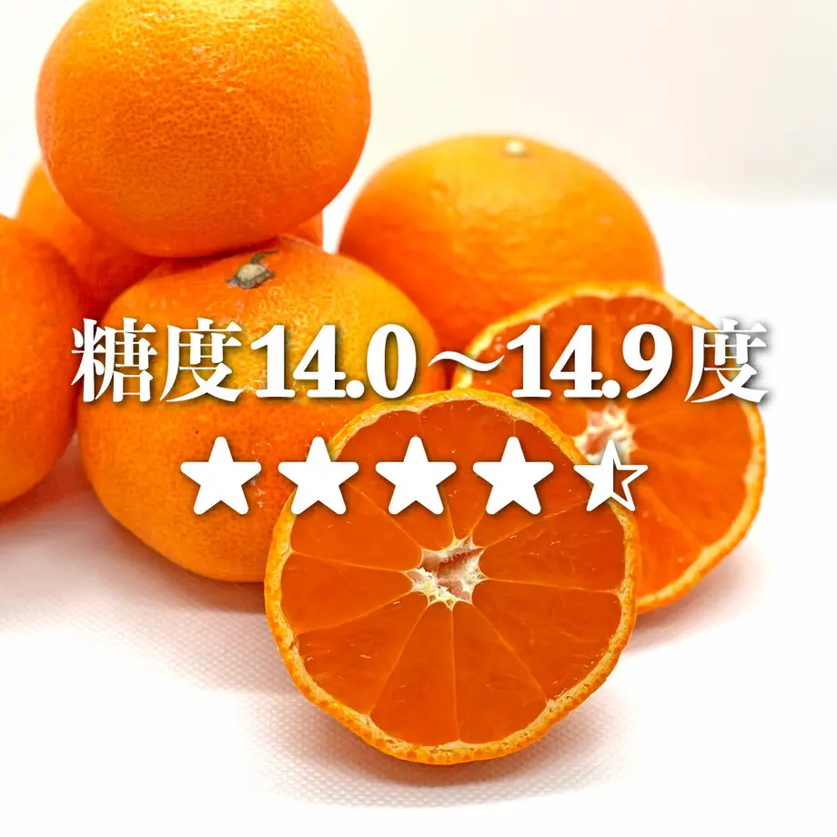 5df6047763538a7588470acf