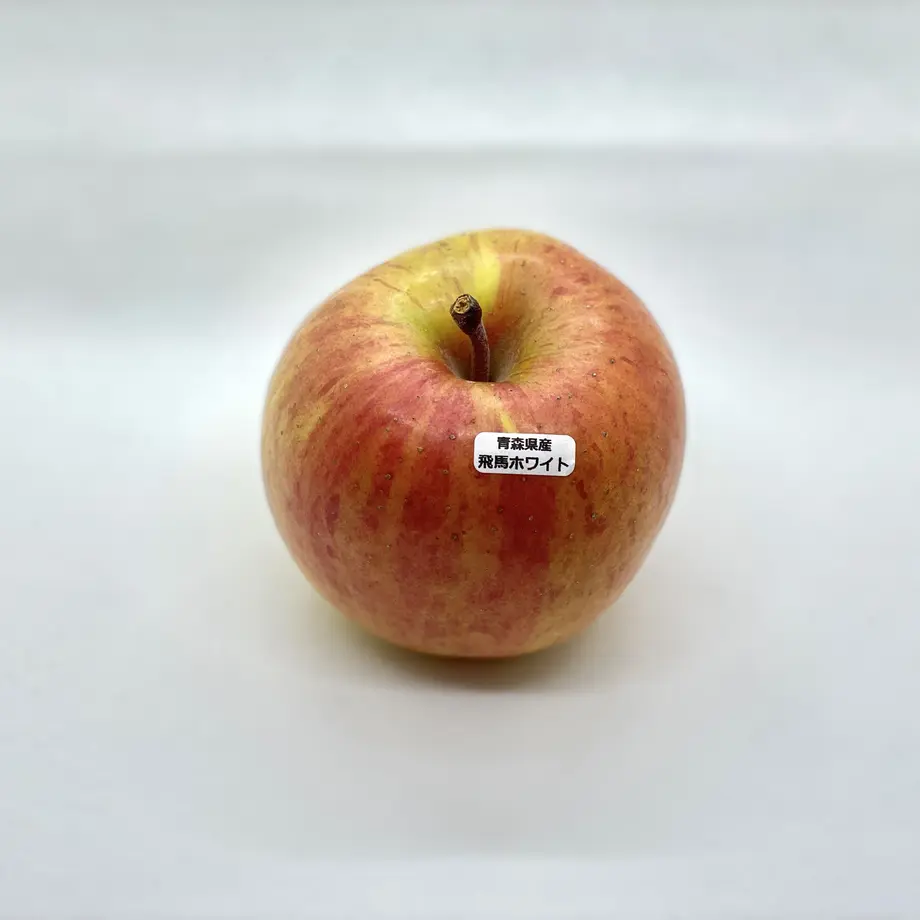 602234b66e84d522195d04d3
