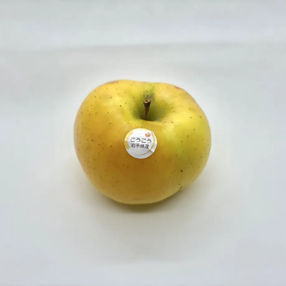 602234b66e84d522195d04d3
