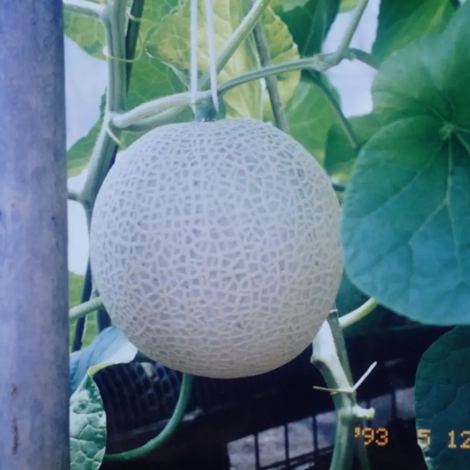 6022335f6728be262337894b