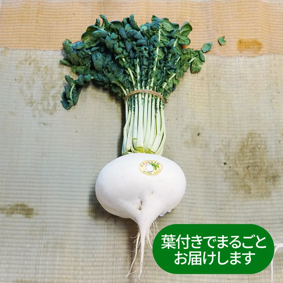 6003e2778a457208dcb3f31c
