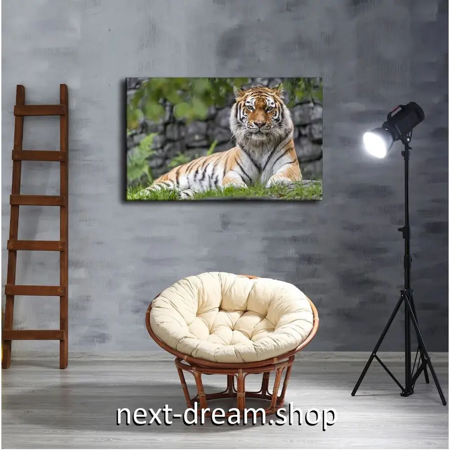 608d5d7ada019c2ad73fbc11
