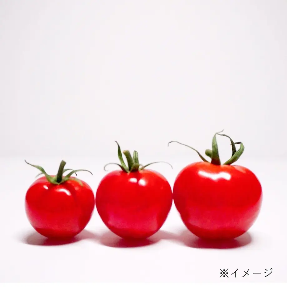 6180add56b6d1961797c90bb