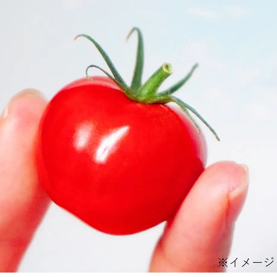 6180b5d6f1f39a4fae32e246