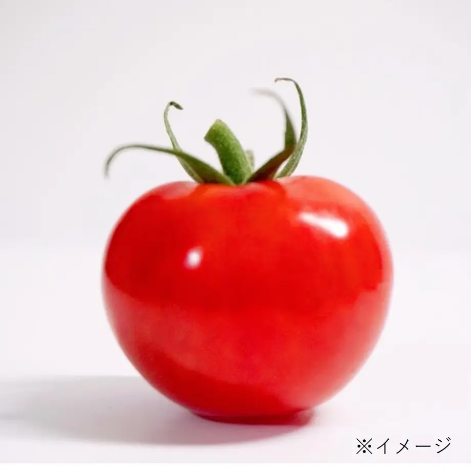 6180b5d6f1f39a4fae32e246