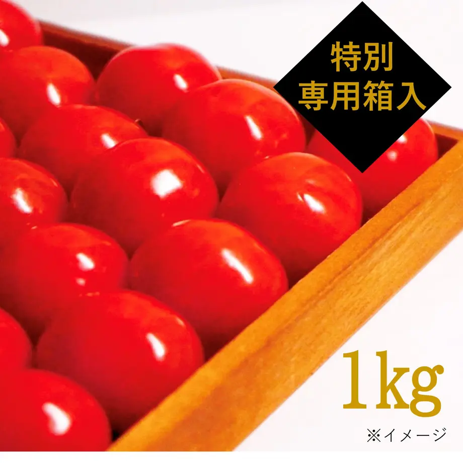 6180b5d6f1f39a4fae32e246