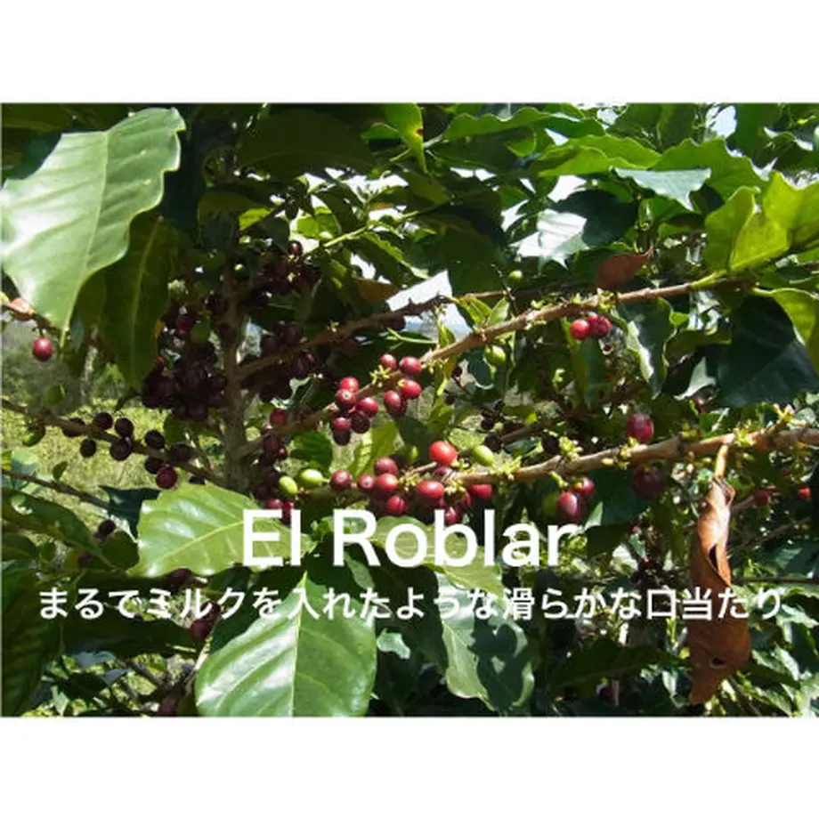 5e8309bbe20b047e58277042