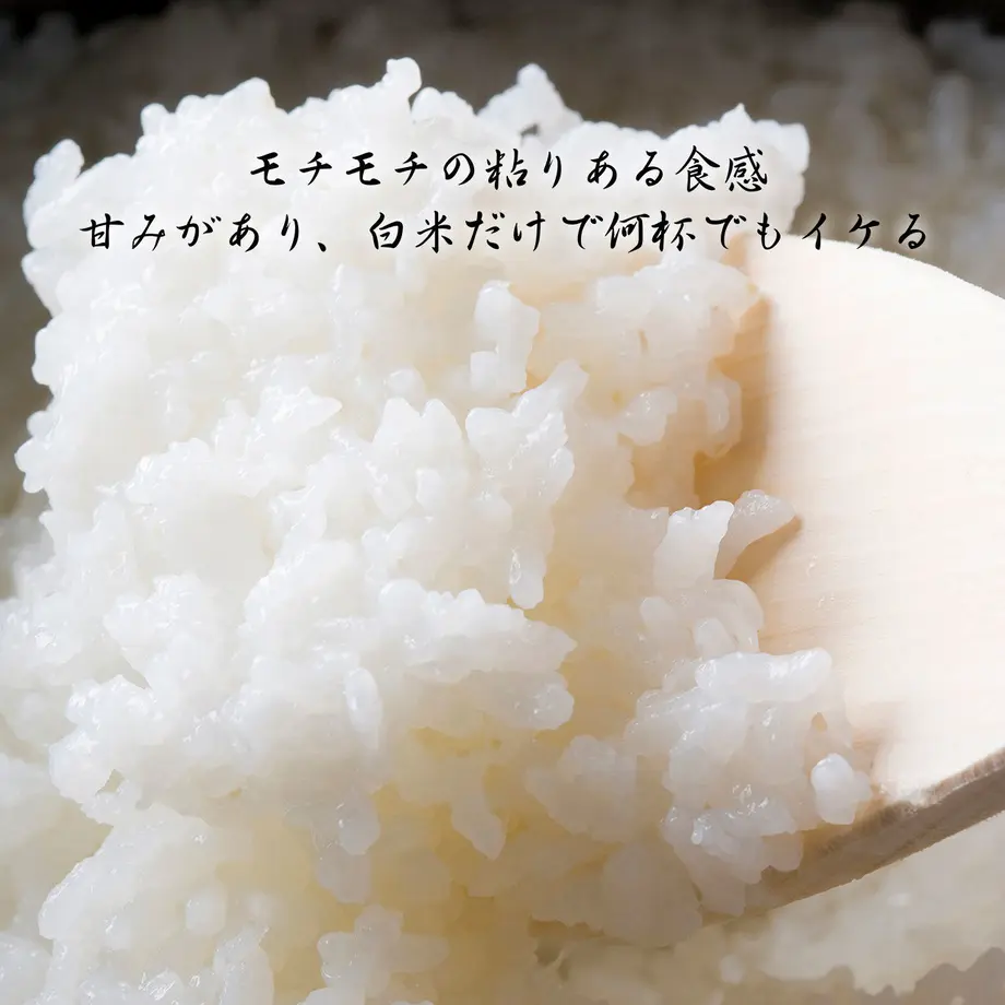 5ecc496534ef010222a53f6e