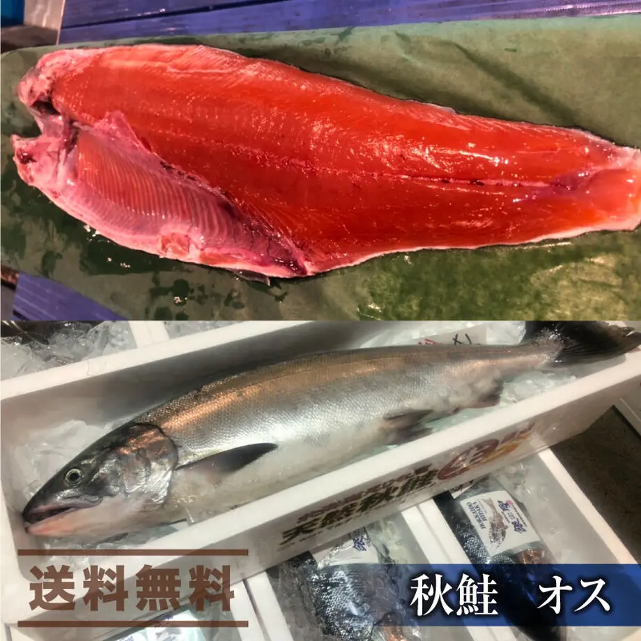 613ead2a51244e4c93c071f5