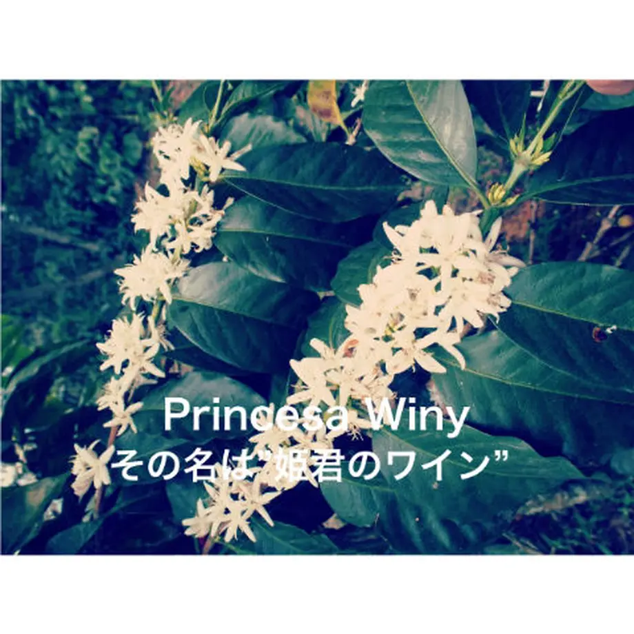 5e8309bbe20b047e58277042