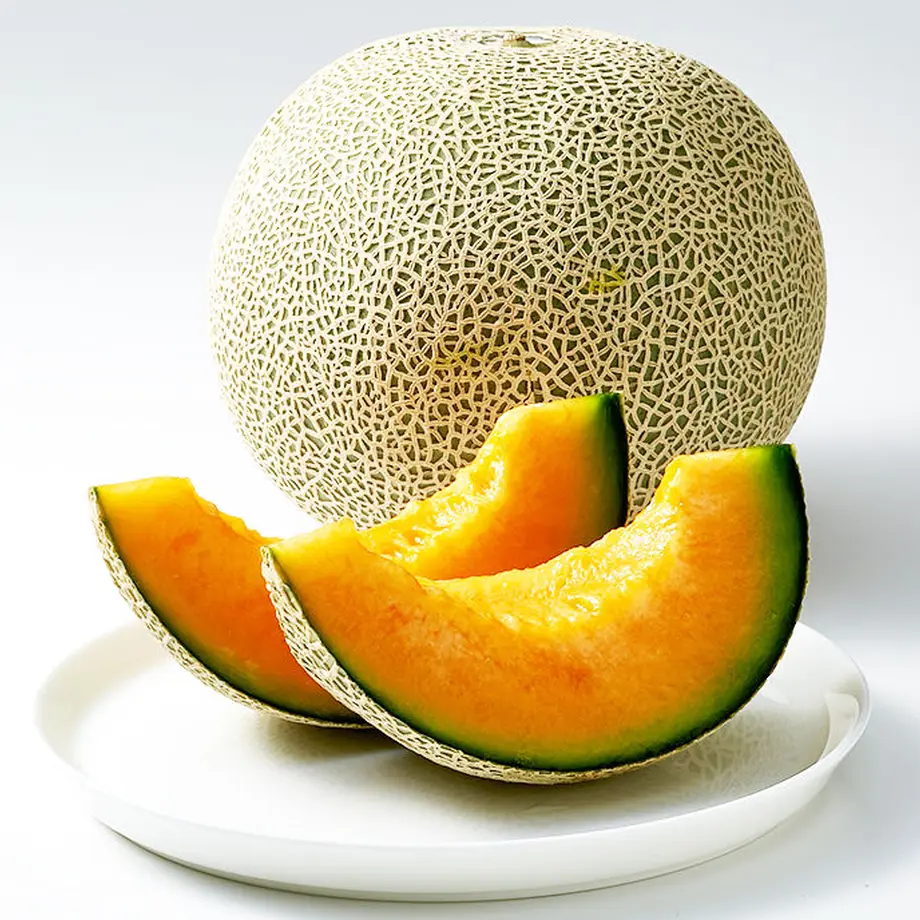 5ed7a02072b9110519c6e4b1