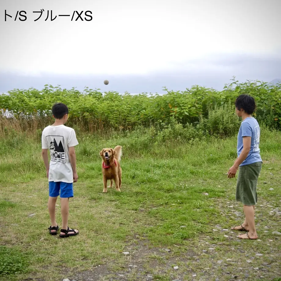 5d189f2f1bc6e87a38801751