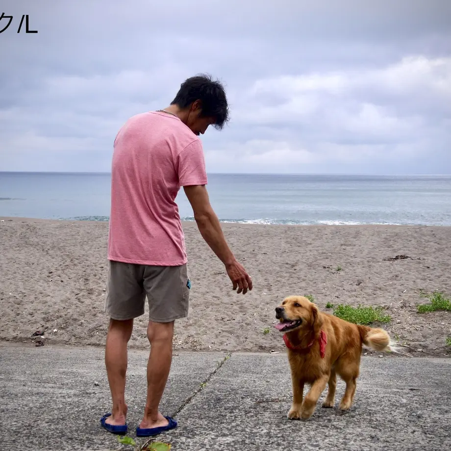 5d189f2f1bc6e87a38801751