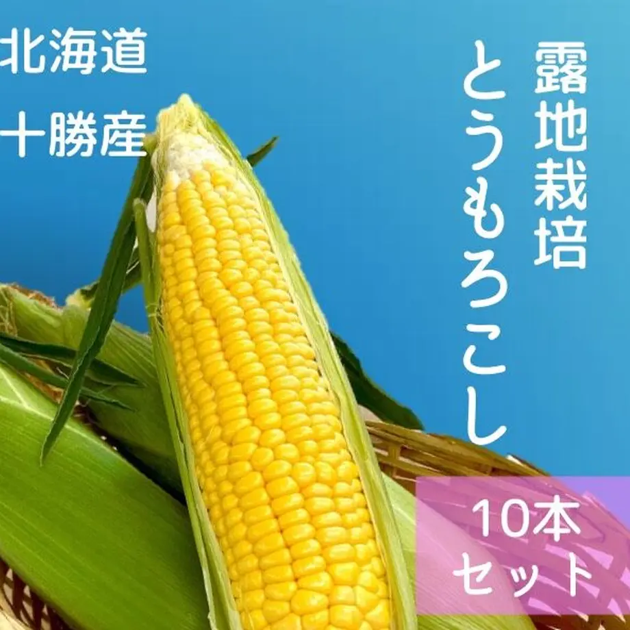 611e00fe8696c752e9f297f4
