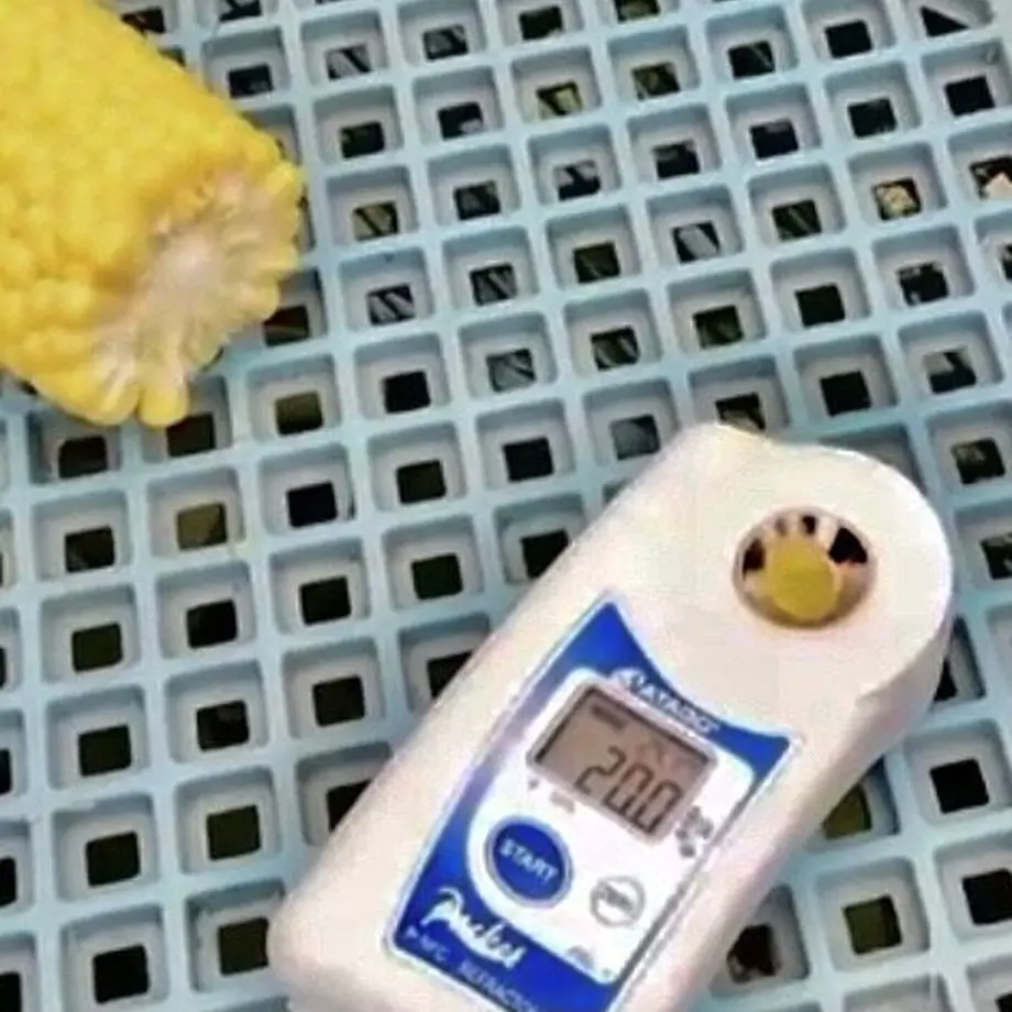 611e00fe8696c752e9f297f4